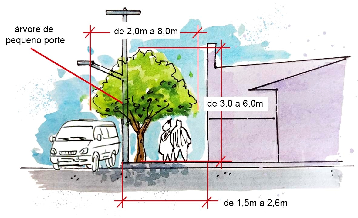 Calçada com árvore de pequeno porte